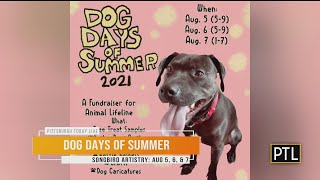Songbird Artistry Hosting Fundraiser For Local Animal Rescue
