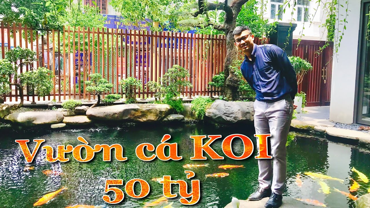 Tham Quan Showroom Cá KOI 50 Tỷ Tại Khu Đô Thị Việt Hưng - Long Biên | HOUSEE