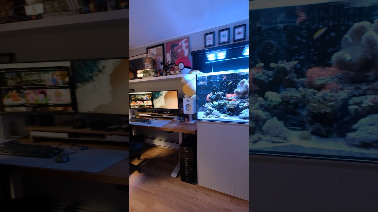 When your home office setup gets that much needed upgrade.