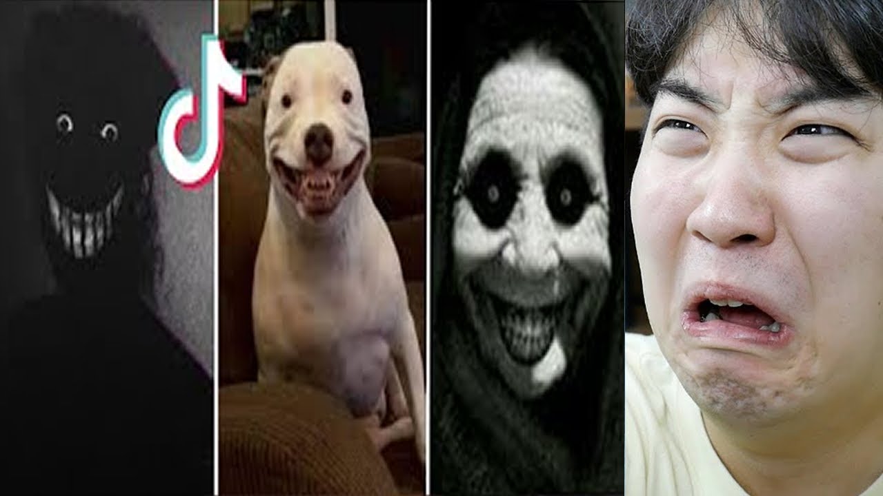 틱톡 소름돋는 공포 영상을 봤습니다.. 팬티에 지렸다..