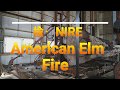 楡・NIRE American ELM FIRE