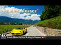 Col des Mosses 4K Switzerland 🇨🇭 Ep#2 - Mountain Pass from Château-d'Oex L'Etivaz VD to Aigle VD