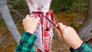 POV: Easy Way To Butcher A Deer!