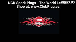 NGK Spark Plugs - Free Shipping is Back!