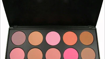 Sexy 10 Color "Pinch Pink" Blush Palette