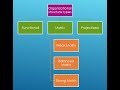 Types Of Organizational Structure | Functional | Matrix | Projectized