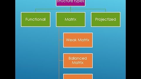 Types Of Organizational Structure | Functional | Matrix | Projectized