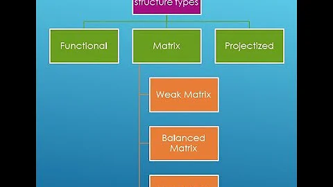Types Of Organizational Structure | Functional | Matrix | Projectized