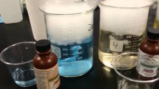 Dry Ice Bubbles PBL project Harmony STEM
