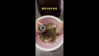 7407739602611539211.mp4