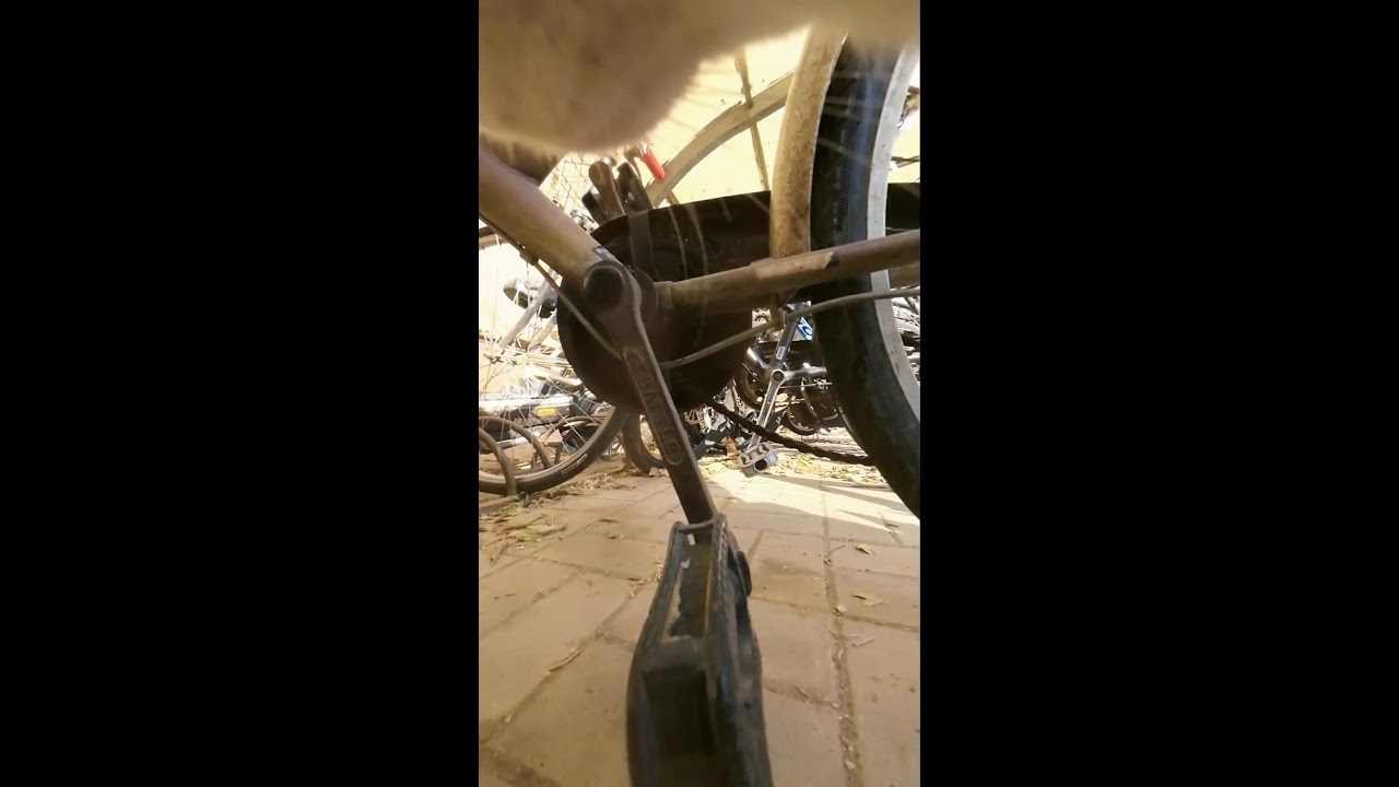 Feline Wanderer Live 🌿 What a Cat Sees Outside 2025-12-26 