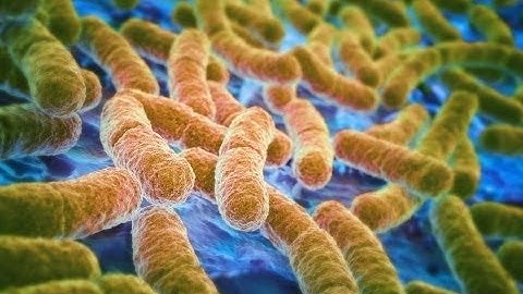 What causes antibiotic resistance? - Kevin Wu