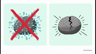 Geoexpofísica 2026: Subducción, eclogitización y propagación de ondas sísmicas en un modelo análogo.