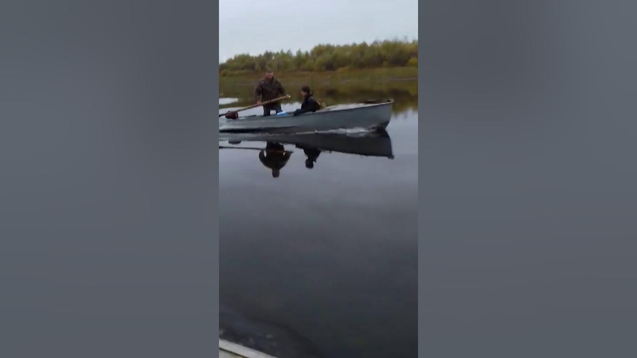 Погода в сидельниково марий эл. Погода в сидельниково марий эл на 14. Погода в сидельниково марий эл на 14. Погода в сидельниково марий эл на 14. Погода в сидельниково марий эл на 14.