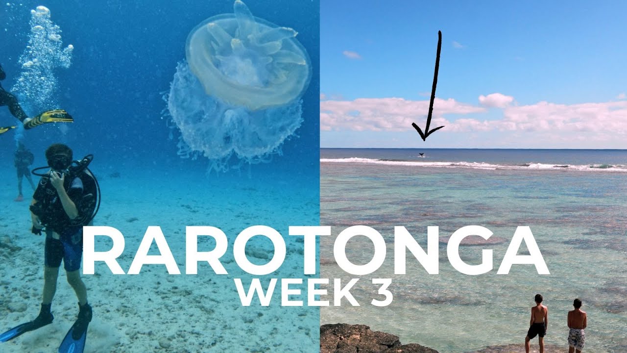 We FINALLY See WHALES!!! Rarotonga, Cook Islands