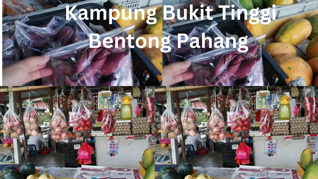 Kampung Bukit Tinggi Bentong Pahang