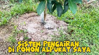 Sistem pengairan kebun durian & alpukat