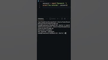 How to hide user input in Python