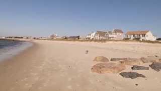 Smart Seagull drops crab on the fly to  break it