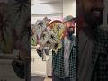 Fast Growing Begonia? Harmony’s Firewoman Results After 4 Months
