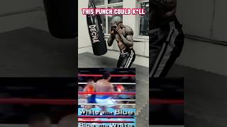 MIKE TYSON hook TUTORIAL / Iron Mike punching technique