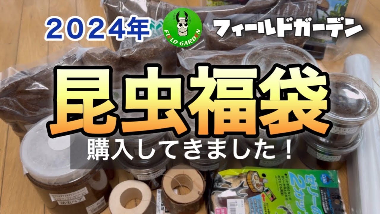 2024年 フィールドガーデンさんの【世界の昆虫福袋)を買って来た
