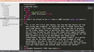 Lecture 8: HTML Character Entity References