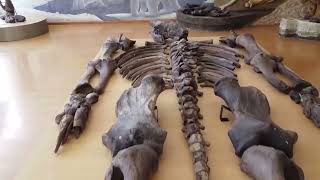 Descubre Las Instalaciones De Upse