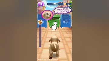 Pet Run - Puppy Dog Game | Best walkthrough Gameplay🎮
