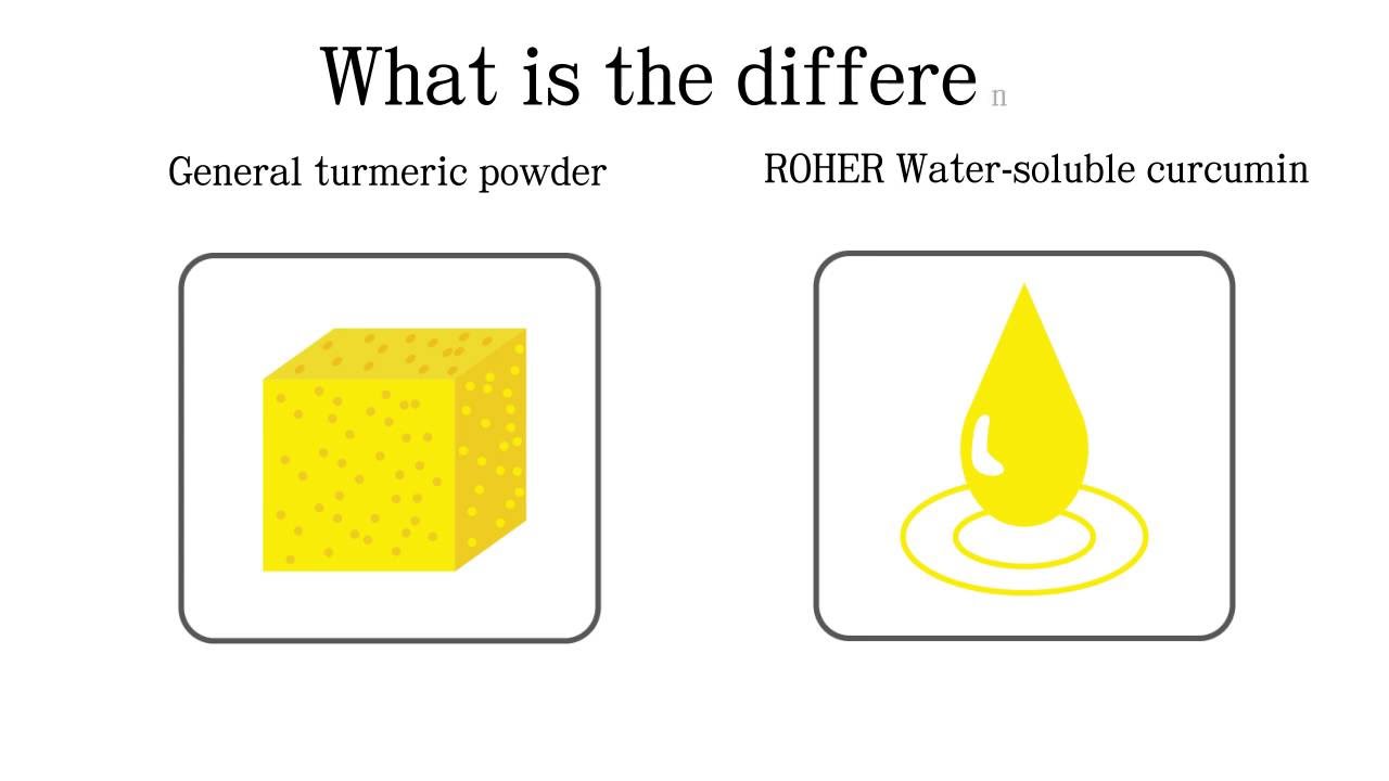 ROHER water soluble curcumin