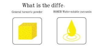 Roher Water Soluble Curcumin