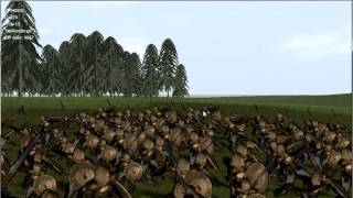 Animation Testing