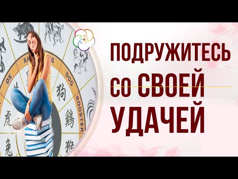 БАЦЗЫ ДЛЯ НАЧИНАЮЩИХ.  Расшифровка карты Бацзы