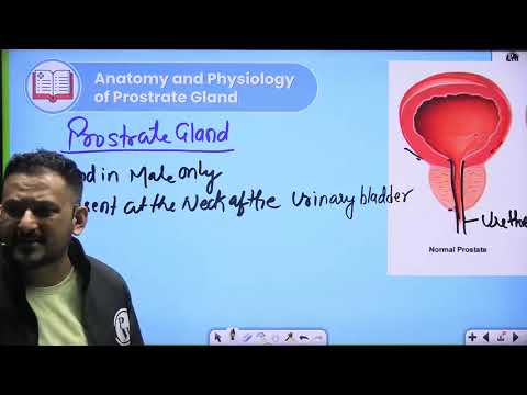 20   Renal System 20   BPH    DPP Quiz Will be Provided Soon    Reschedule