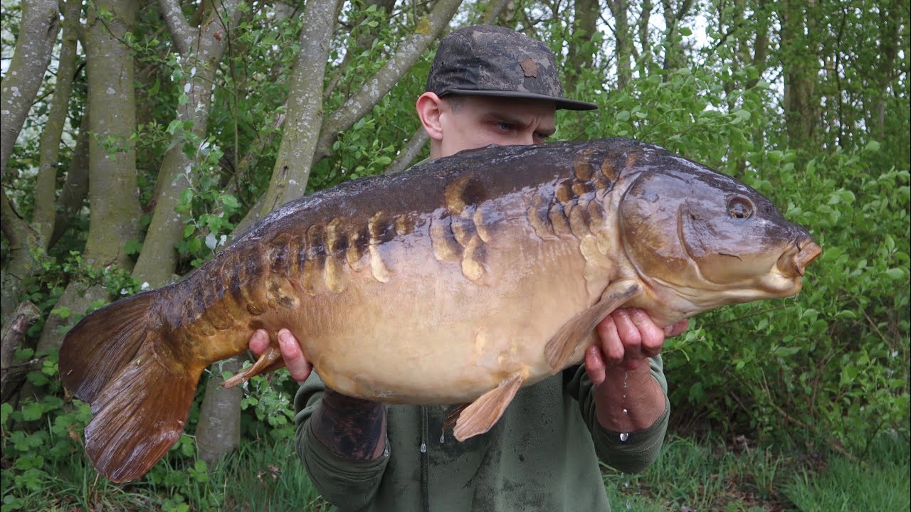 Carp Fishing Daiwa Manton. (PB SMASHED MUST SEE!!) YouTube