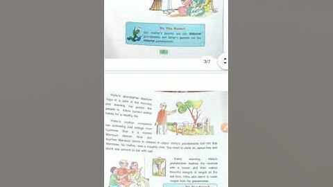 #DAV #Class3 #SocialScience #Chapter1 The Family 👪