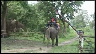 ASSAM-MEGHALAYA-BHRAMAN-KAZIRANGA-FOREST