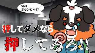 【押してダメなら押してみろ】このボタン押して大丈夫なん？？