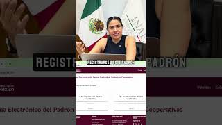 Como ingresar al Sistema Electrónico del Padrón Nacional de Sociedades Cooperativas
