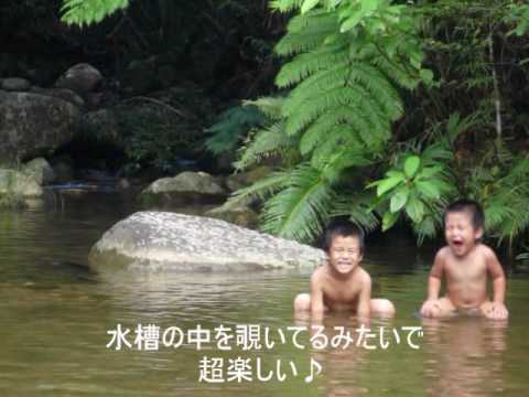 石垣ちゅら島おさんぽ日記 アイムホームtv Youtube 石垣ちゅら島おさんぽ日記 アイムホームtv Youtube