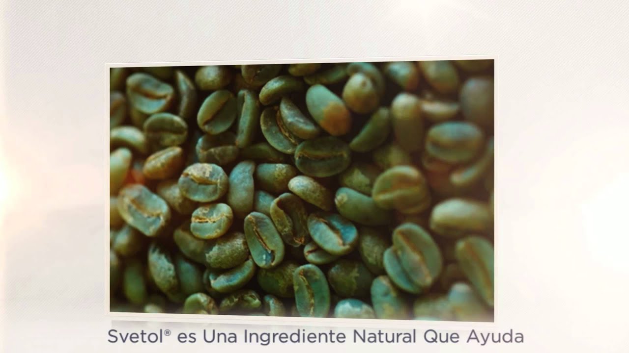 Cafe Verde Beneficios Extracto de Cafe Verde Beneficios
