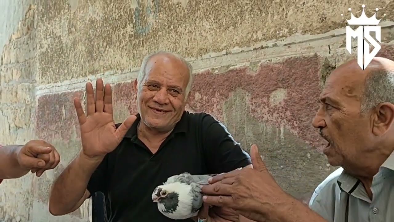 🔴 احدث حمام في مصر ( يمد لأصله)#الحمام_الغزار