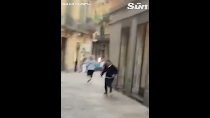 Chilling moment knifeman runs through holiday hotspot brandishing huge blade as tourists flee