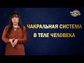 Что такое чакры и как они работают? За что отвечают семь основных чакр?