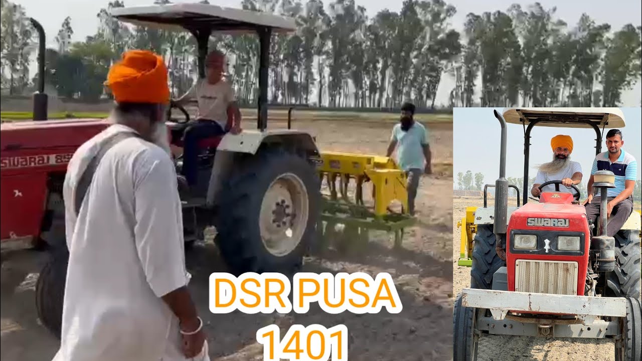 DSR PUSA 1401