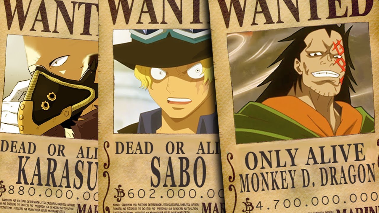One Piece Revolutionsarmee One Piece Revolutionsarmee