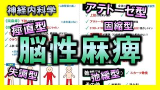 【神経内科学㉖】脳性麻痺（痙直型・アテトーゼ型など）【理学療法士・作業療法士】