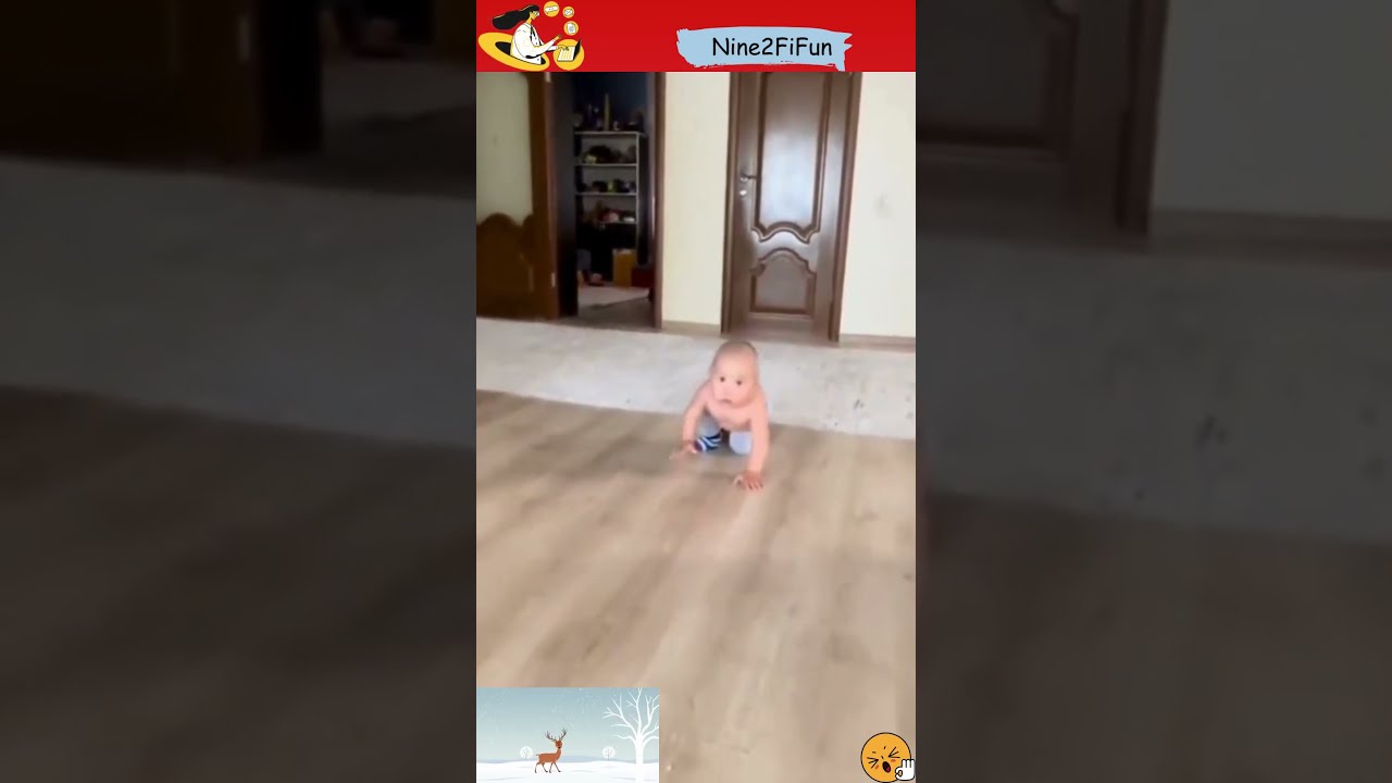 Hilarious Baby Shenanigans 