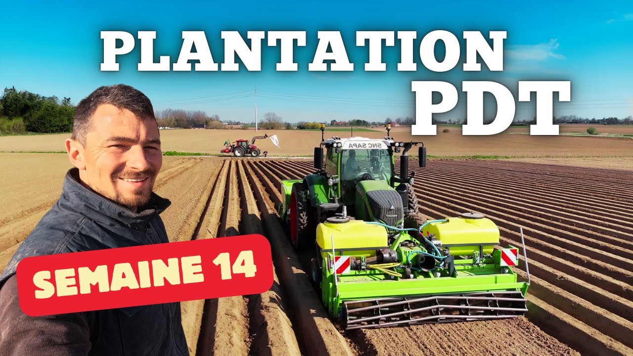 Du labour à la plantation des pommes de terre - Semaine 14
