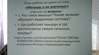 проект окр.мир